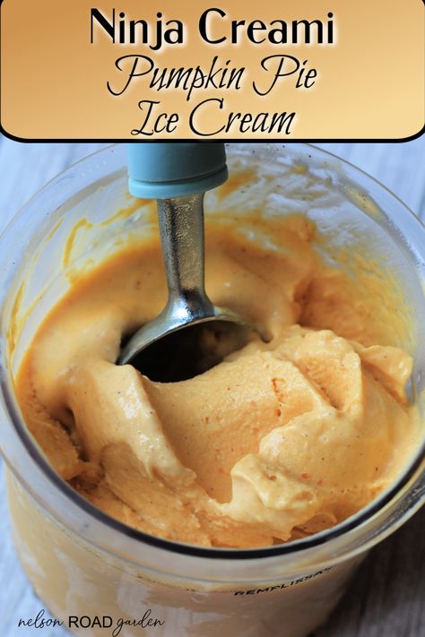 This ninja creami pumpkin pie ice cream literally tastes like the pie, just frozen! It’s the perfect way to get your pumpkin fix during the warmer months. Pumpkin Pie Ice Cream Ninja Creami, Pumpkin Pie Ninja Creami, Ninja Creami Pumpkin Ice Cream, Ice Cream Maker Recipes Healthy, Frozen Recipes, Low Calorie Pumpkin, Ninja Creamy, Ninja Ice Cream Recipe, Protein Ice Cream Recipe