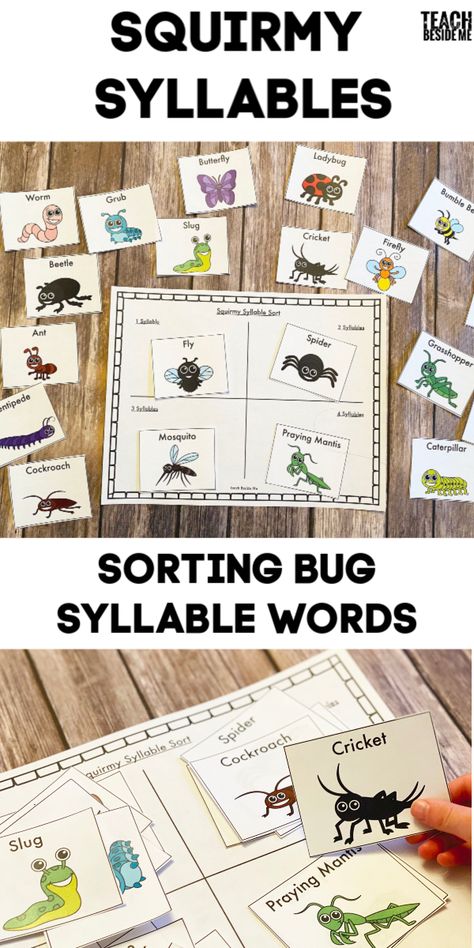 Preschool Insects, Syllable Games, Teaching Syllables, Insect Study, Language Activities Preschool, Junior Kindergarten, Syllables Activities, Mini Beasts, Literacy Activities Preschool