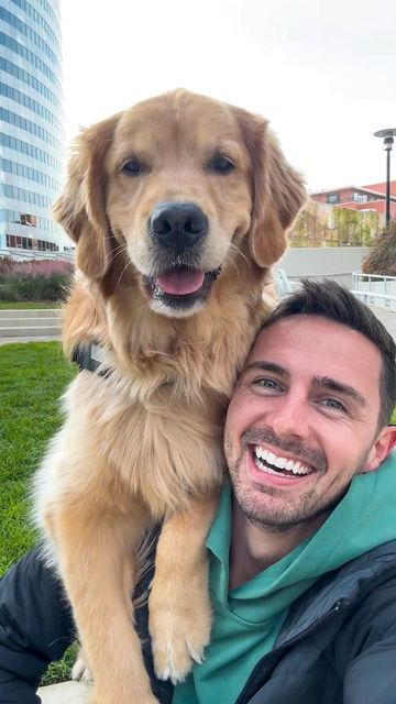 Selfie With Dog, Tiktok Hooks, Golden Puppies, Cat Playground, Dog Selfie, Puppy Cute, Cute Dog Pictures, Best Videos, Smiling Dogs