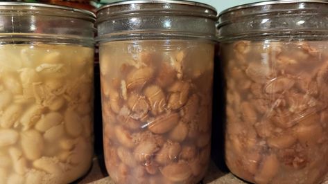 trio of canned beans Canning Dry Beans Without Soaking, Canning Pinto Beans, Canning Dry Beans, White Beans And Ham, Freezing Recipes, Canning Beans, Pressure Canning Recipes, Freezing Food, Corn Relish