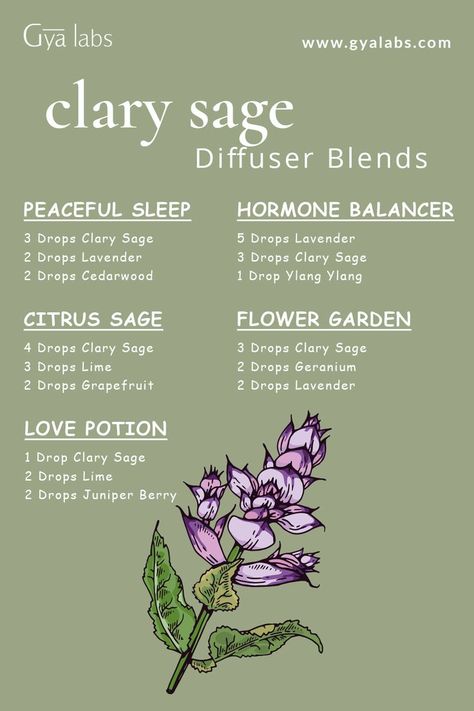 A bottle of Clary Sage essential oil surrounded by herbs and flowers, with the title "Clary Sage Essential Oil Blends for Health and Wellness." Essential Oil For Skin, Essential Oil Perfumes Recipes, Essential Oil Combinations, Clary Sage Oil, Doterra Essential Oils Recipes, Oil For Skin, Essential Oil Diffuser Blends Recipes, Young Living Essential Oils Recipes, Clary Sage Essential Oil