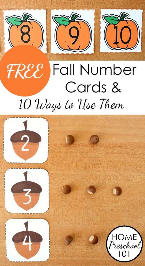 4 Free Printable Fall Number Cards and 10 Hands-on Ways to Use Them. Includes four versins apples, leaves, pumpkins, and acorns. Great for number sense and number recognition Printable Hands, Autumn Preschool Theme, Number Crafts, Fall Preschool Activities, Fall Lessons, Fall Math, Fall Kindergarten, Prek Math, Autumn Activities For Kids