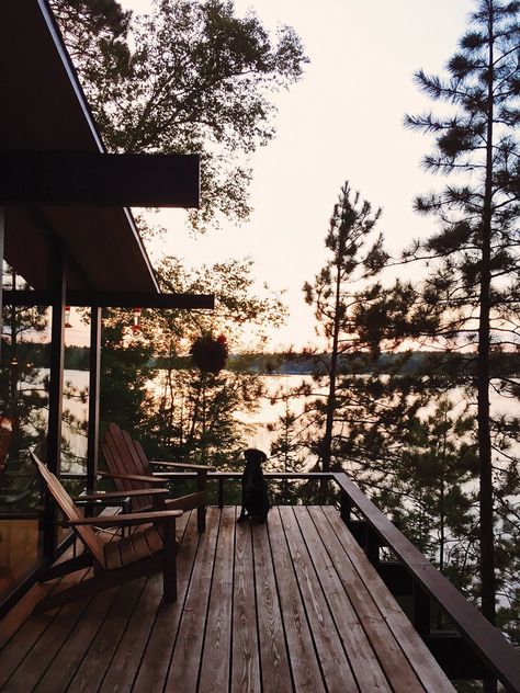 Black lab on a wooden deck at sunset Summer Cabin, Vacation Rental Management, Wooden Deck, Sunset Lake, Lakefront Homes, Lake Cottage, Lake Sunset, Quiet Area, Lake Cabins