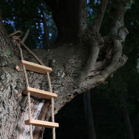 House Ladder, Kids Yard, Rope Ladder, Cool Tree Houses, Climb Trees, Yard Design, Secret Society, Niece And Nephew, Tree House