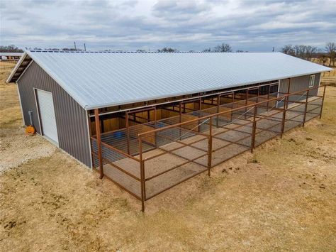 Small Farm Animal Pens, Cow Enclosure Ideas, Horse Training Facility, Horse Pen Ideas, Horse Paddock Ideas, Show Barn Ideas Cattle, Show Cattle Barn Layout, Cattle Barn Designs, Show Cattle Barn