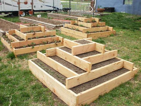 Cascading Planter, Raised Bed Garden Design, Garden Chic, Plants Growing, Garden Boxes, Veggie Garden, Raised Beds, Lawn And Garden, Raised Garden