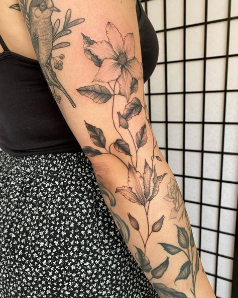 Meg Langdale on Instagram: “Creeping clematis for @daisykate - lots more to come! Working inbetween BEAUTIFUL healed pieces by @suflanda and @smick_tattooer 🖤…” Vine And Flower Tattoo Sleeve, Clematis Vine Tattoo, Black And White Vine Tattoo, Creeping Vine Tattoo, Clematis Flower Tattoo, Clematis Tattoo Ideas, Creeping Jenny Tattoo, Clematis Tattoo, Wild Rose Tattoo