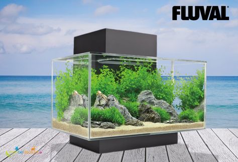 Die „Einstiegsdroge“ Fluval Edge für den erfolgreichen Einstieg in die Aquaristik. Elegant und modern – das Fluval Edge ist ein einzigartiges, würfelförmiges Aquarium, das die Fischhaltung in eine eindrucksvolle optische Erfahrung verwandelt. Das kompakte Design passt perfekt an jeden Ort, an dem der Platz begrenzt ist. Das Fluval Edge verleiht jeder tristen Ecke, wie z.B. Arbeitsplatten, Tischen oder Schränken, eine lebendige Note. Aquarium Mural, Acrylic Lighting, Fish Aquarium Decorations, Aqua Tank, Salt Water Aquarium, Acrylic Aquarium, Dapple Dachshund Puppy, Aquarium Set, Glass Aquarium