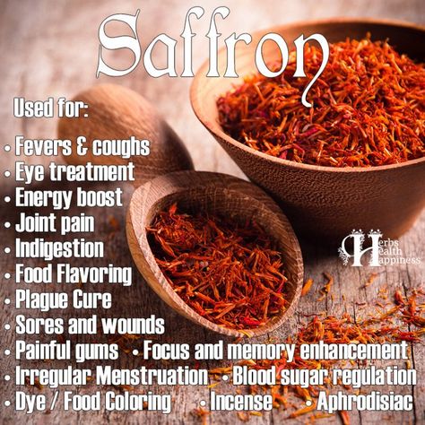 Herbs Health & Happiness Spice Of The Day: Saffron - Herbs Health & Happiness Benefits Of Saffron, Saffron Benefits, Herbal Healing, Herbs For Health, Healing Food, Healing Herbs, Back To Nature, Natural Medicine, Flavorful Recipes