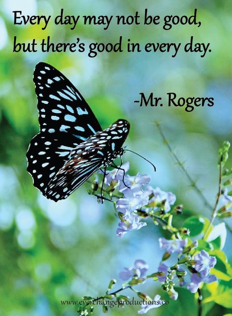 Do you need some encouragement to get you started this week? Just remember: "Every day may not be good, but there's something good in every day."- Mr. Rogers Click more about how to find good in every day. May Day Quotes, Mr. Rogers Quotes, Mr Rogers Quote, 365 Jar, Mister Rogers, Fred Rogers, Garden Life, Mr Rogers, Encouraging Bible Verses