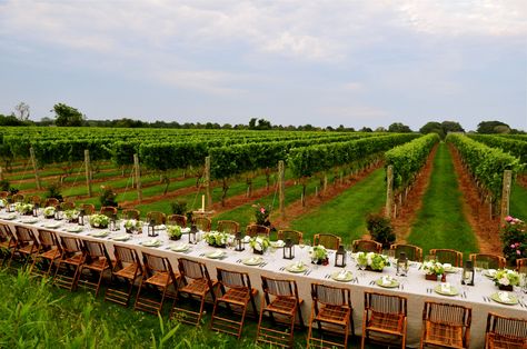 Dinner In The Vineyard, Vineyard Table Setting, Vineyard Table Decor, Vineyard Dinner, Vineyard Home, Lusty Glaze, Vineyard Photography, Napa Valley Vineyards, Wedding Vineyard