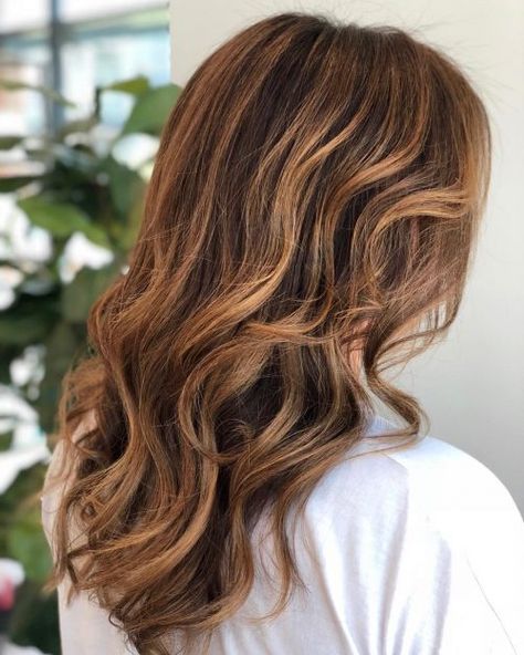 Golden Caramel Highlights, Caramel Balayage Highlights, Golden Chocolate, Curly Highlights, Medium Brown Hair, Hair Color Caramel, Chocolate Brown Hair, Caramel Balayage, Caramel Hair