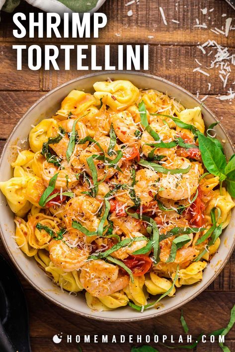 Tortellini With Shrimp Recipes, Shrimp With Tortellini Recipe, Shrimp Scampi Tortellini, Creamy Shrimp Tortellini Recipes, Shrimp Tortellini Recipes Healthy, Easy Shrimp Tortellini Recipes, Shrimp And Cheese Tortellini Recipes, Tortellini Shrimp Recipes, Seafood Tortellini Recipes