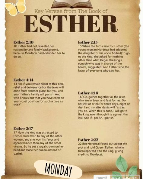 We started Esther on Monday and it’s been great! Comment below for an invite link. #ewif #empoweredwomenempowerwomen #bible #esther #god #jesus #biblestudy #biblejournaling Esther Bible Study, Bible Notebook, Esther Bible, Book Of Esther, Bible Characters, God Jesus, Bible Journaling, Bible Study, Verses