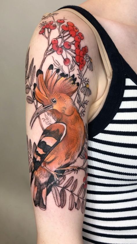 Hoopoe Tattoo, Tattoo Bible, August 31, Ink Sketch, Forearm Tattoo, Tattoo Idea, Tattoo Ideas, Bible, Tattoos