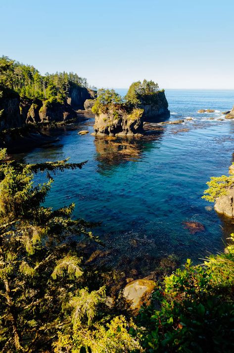 Olympic National Park Hikes, Neah Bay, Picture Places, Olympic Peninsula, Travel Wishlist, Olympic National Park, Pacific Northwest, Travel Pictures, Time Travel