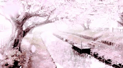 Sakura Anime Cherry Blossom, 트위터 헤더, Gif Background, Cute Banners, Sakura Tree, Sakura Flower, Banner Gif, Anime Gifs, Sakura Cherry Blossom