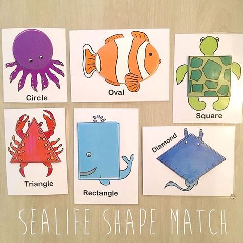 Finished!  #Playmatters #Childhoodunplugged #Pretendplay #Invitationtoplay… Sealife Activities Preschool, Ocean Shapes, Ocean Animals Preschool, Sea Animal Crafts, Ocean Animal Crafts, Toddler Math, Ocean Theme Preschool, Sea Activities, Nursery Activities