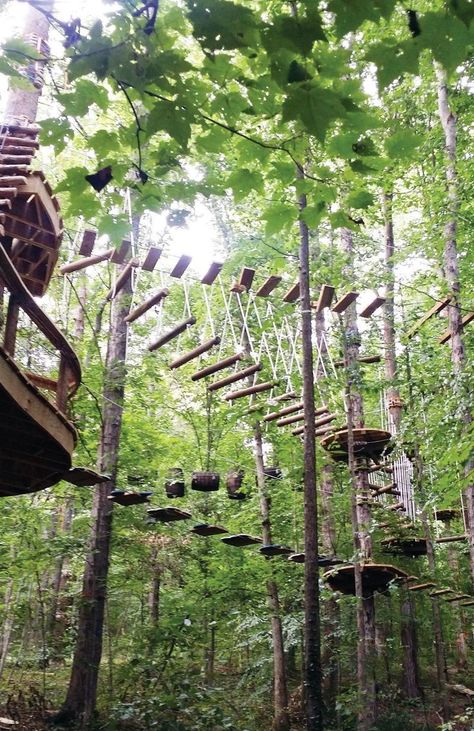 Tennessee Knoxville, Fun Park, Tennessee Travel, Cool Tree Houses, Tennessee Vacation, Cheap Flight Tickets, Fairy Queen, Cheap Flight, Flight Tickets