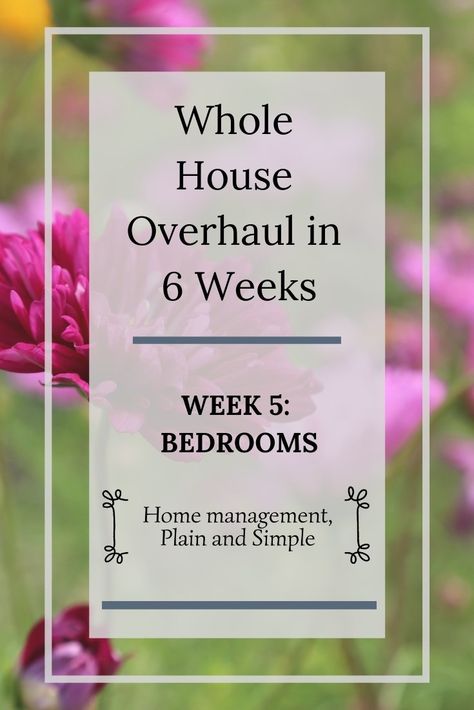 Whole House Overhaul in 6 Weeks: Week 5 - Home Plain and Simple // Home management help for your unique situation. Weekly Cleaning Schedule, Weekly Cleaning, Simplifying Life, Home Management, Week 5, Organization Planning, Simple Home, Chore Chart, Cleaning Schedule