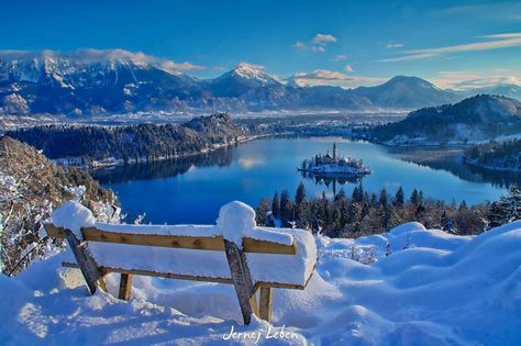 Slovenia - Lago di Bled  LAKE BLED, Slovenia - 15 centimeters of snow yesterday and over the night have transformed Bled into a winter wonderland. It doesn't happen very often that Bled gets so much snow at the end of April. But when it does, it looks extraordinary beautiful. Lake Bled Slovenia, Night Landscape Photography, Bled Slovenia, Slovenia Travel, Cities In Germany, Holiday Blues, Enjoy Winter, Lake Bled, Winter Photos