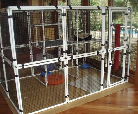 Pet DIY Enclosure Cats PVC Cattery Ideas, Cat Cages Indoor, Pet Enclosures, Diy Cat Enclosure, Cat Space, Pet Diy, Cat Patio, Outdoor Cat Enclosure, Cats Stuff