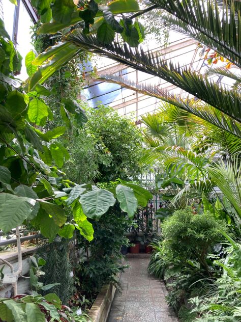 Plant Science Aesthetic, Plant Biology Aesthetic, Natural Science Aesthetic, Plantcore Aesthetic, Biology Major Aesthetic, Greenhouse Goals, Forest Pics, Green Nature Aesthetic, Biology Aesthetic