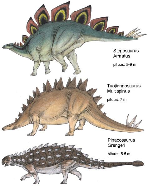 Stegasorus Dinosaur, Dinosaur Facts, Prehistoric Wildlife, Prehistoric Dinosaurs, Dinosaur Images, Dinosaur Pictures, Dinosaur Illustration, Prehistoric World, Jurassic World Dinosaurs