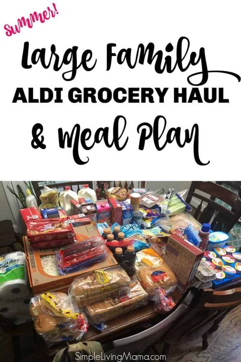 Large Family Aldi Meal Plan & Grocery Haul - Summer - Simple Living Mama Week Menu Plan, Aldi Shopping List, Meal Planning On A Budget, Master Grocery List, Family Meal Plan, Cheap Meal Plans, Big Family Meals, Aldi Meal Plan, Plane Food