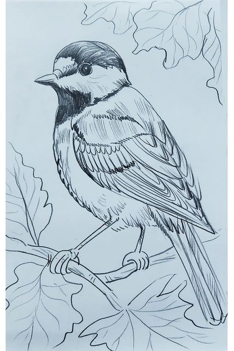 Drawing, Pencil Sketch, Sketching, Bird Drawing, Simple Bird Drawing, Shading Tutorial, Drawing Birds, Art Of Drawing, Easy Bird, Shading Drawing, Bird Shape, Pencil Sketching, Tutorial Drawing