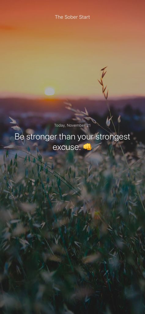 Be stronger than your strongest excuse. 👊 #iamsober Parenthood Quotes, Excuses Quotes, Dead Fish, Feel Like Giving Up, Marriage Quotes, Stronger Than You, Animal Quotes, Daily Affirmations, Friends Quotes