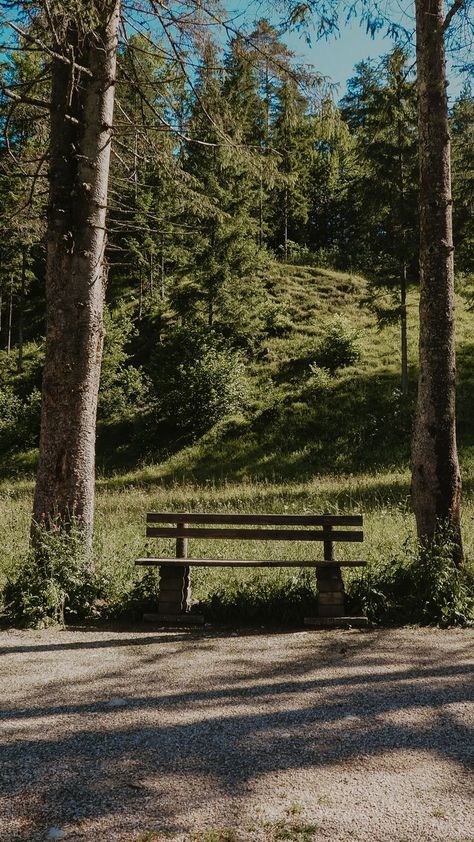 A park bench in the middle of the forest. Between two trees. Take a seat and breathe. Bench In Forest, Two Trees, Under The Moon, Story Setting, Take A Seat, A Park, Park Bench, The Forest, In The Middle