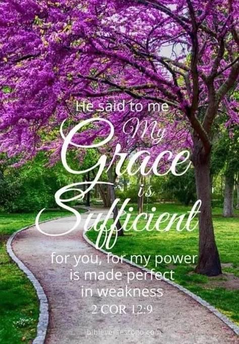 My Grace Is Sufficient, Gospel Quotes, Bible Verse Background, Wallpaper Iphonewallpaper, Bible Quotes Images, Powerful Bible Verses, Special Prayers, Healing Scriptures, Verses Wallpaper