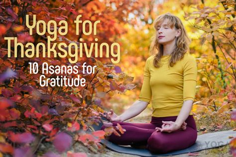 Yoga for Thanksgiving: 10 Asanas for Gratitude Thanksgiving is not only a time for indulging in delicious feasts and spending quality time with loved ones; it’s also an opportunity to reflect on the abundance in our lives and cultivate a deep sense of gratitude. And what better way to experience a feast of gratitude than through the practice of yoga poses that […] Thanksgiving Yoga Flow, Yoga For Gratitude, Thanksgiving Yoga, Gratitude Yoga, Yoga Basics, Yoga Themes, Restorative Yoga Poses, Mountain Pose, Camel Pose