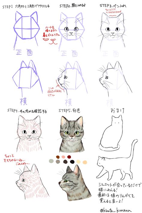 Drawing Reference Cat, Drawing Tutorial Cat, Cat Eye Drawing, Cat Hand Drawing, Cat Drawing Sketches, Cat Drawings Simple, Drawing Ideas Cute, How To Draw Cats, Cat Drawing Ideas