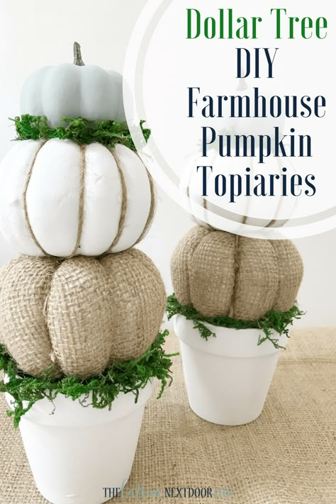 Pumpkin Topiary Diy, Pumpkin Topiaries, Diy Farmhouse Decoration, Strašidelný Halloween, Topiary Diy, Pumpkin Topiary, Dollar Tree Fall, Fall Deco, Dollar Tree Decor