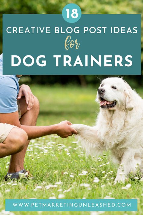 18 Creative Blog Post Ideas for Dog Trainers | Pet Marketing Unleashed Dog Training Marketing, Dog Blog Post Ideas, Dog Content Ideas, Dog Trainer Aesthetic, Pet Marketing, Dog Training Business, Pet Aesthetic, Dog Instagram, Pet Market