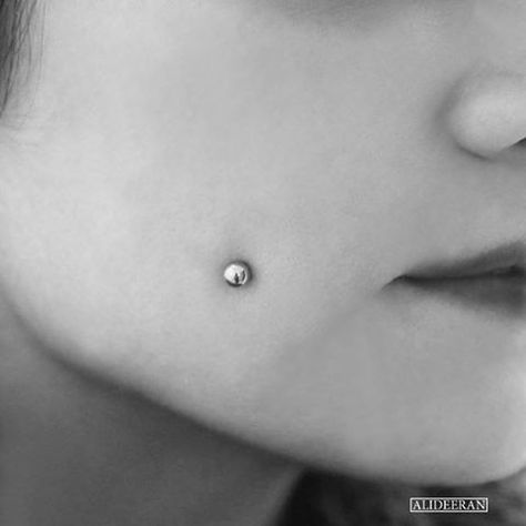 #piercing #piercingjewelry #cheekpiercing #cheek Dimple Piercing Cheek, Cheek Piercing, Labret Vertical, Dimple Piercing, Cheek Piercings, Tattoo Zeichnungen, Ideas Jewelry, Facial Piercings, Types Of Piercings