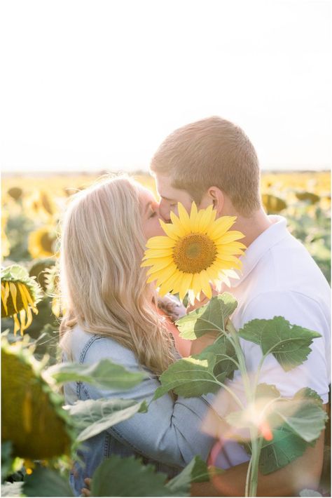 Sunflower Field Photography, Sunflower Field Pictures, Field Pictures, Sunflower Farm, Sunflower Patch, Sunflower Photography, Sunflower Photo, Ottawa Wedding, Sunflower Pictures