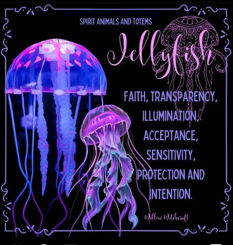 Jelly Fish Meaning, Jellyfish Meaning, Jellyfish Symbolism, Animal Totem Spirit Guides, Tree Hugging, Spirit Animal Meaning, Goddess Magick, Totem Animals, Animal Meanings