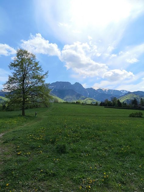 Zakopane Photography, Summer Oc, Traveling Inspiration, Zakopane Poland, Nice Life, Background Nature, Scenery Photos, Amazing Landscapes, Nature Wallpapers