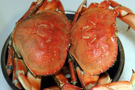 How To: Cook And Clean Dungeness Crab | Kitchn Seafood Thanksgiving, Cooking Dungeness Crab, Dungeness Crab Legs, Dungeness Crab Recipes, Cooking Crab, Crab Legs Recipe, Koh Kood, How To Cook Liver, Crab Boil