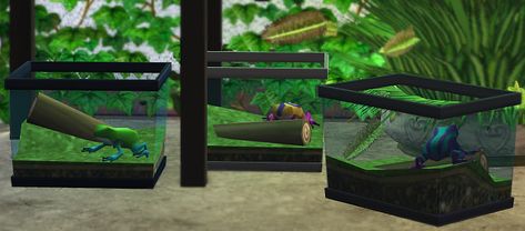 Pet Frog, Frog Tank, Pet Frogs, Ant Farms, Sims 2, Pet Store, Veterinarian, Animal Shelter, Frogs