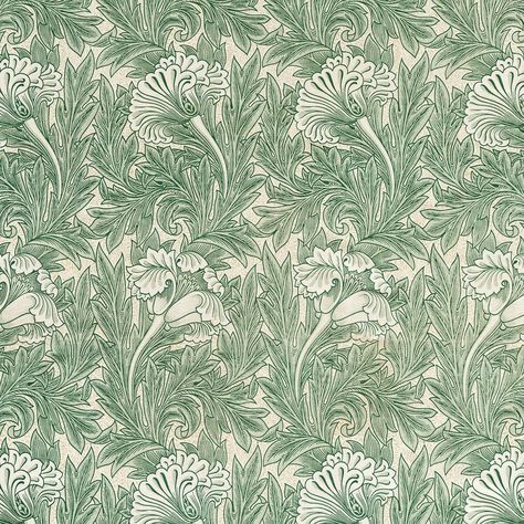 Green tulip flower pattern illustration | premium image by rawpixel.com / Aom Woraluck William Morris Wallpaper, William Morris Patterns, Sage Green Wallpaper, Morris Wallpapers, Poster Shop, Cleveland Museum Of Art, Tulip Flower, Free Illustration, Pattern Vector