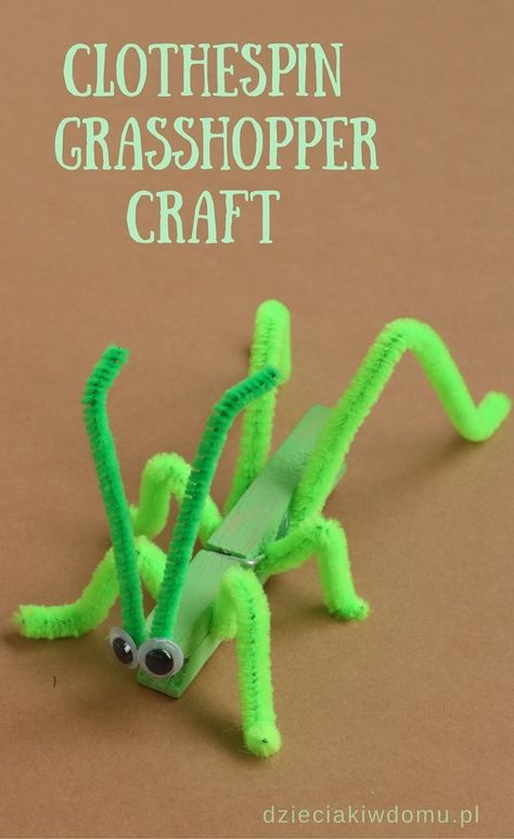 Vbs 2025 Magnified Crafts, Vbs Magnified, 2nd Grade Crafts, 4h Projects, Toddler Teacher, Insect Crafts, Vbs Themes, Bug Crafts, Elementary Spanish