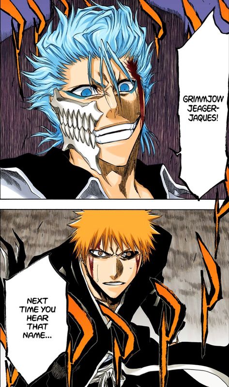 Grimmjow And Ichigo, Bleached Ends, Witch Characters, Goth Y2k, Bleach Characters, Vinland Saga, Bleach Art, Cat Boys, Bleach (anime)