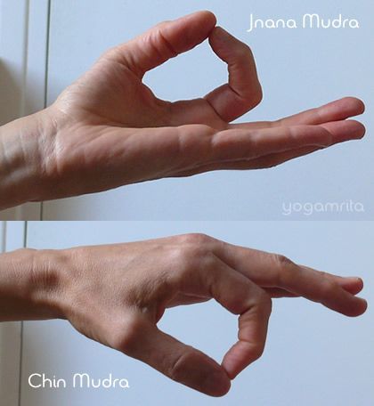 Jnana Mudra, Chin Mudra, Yoga Mudra, Gyan Mudra, Hand Mudras, Yoga Hands, Scary Facts, Chakra System, Face Sketch