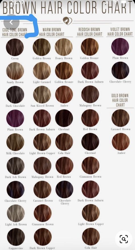 Brown Hair Color Chart, Brown Hair Shades, Hair Color Chart, Fall Hair Color For Brunettes, Fall Hair Trends, Brown Hair Color, Blonde Hair Shades, Dark Brown Hair Color, Summer Hair Color For Brunettes