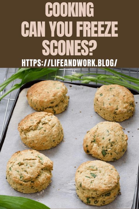 Cooking And Homemaking - Can You Freeze Scones? Can You Freeze Scones, Freezing Scones, Baking Scones, Moroccan Garden, Scones Easy, Cheese Scones, Pumpkin Scones, Freezer Burn, Best Pumpkin