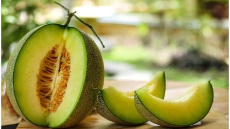 Honeydew Melon Plant, Growing Melons, Green Melon, Summer Salads With Fruit, Honeydew Melon, Best Puns, Fruit Seeds, One In A Melon, Fotografi Alam Semula Jadi